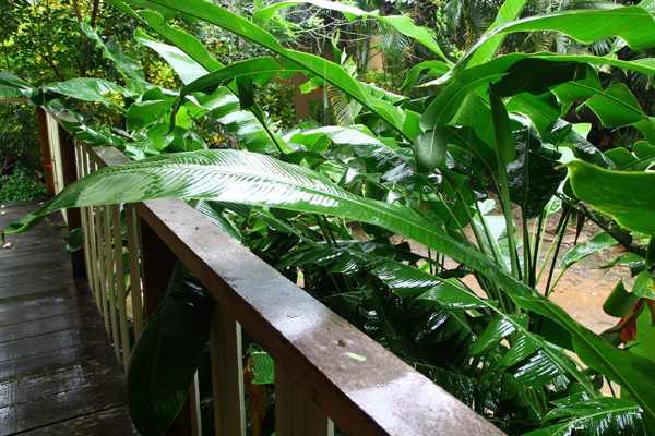 Виллы на пляже Кай Бэй (Koh Chang residence) Виллы на пляже Кай Бэй (Koh Chang residence)